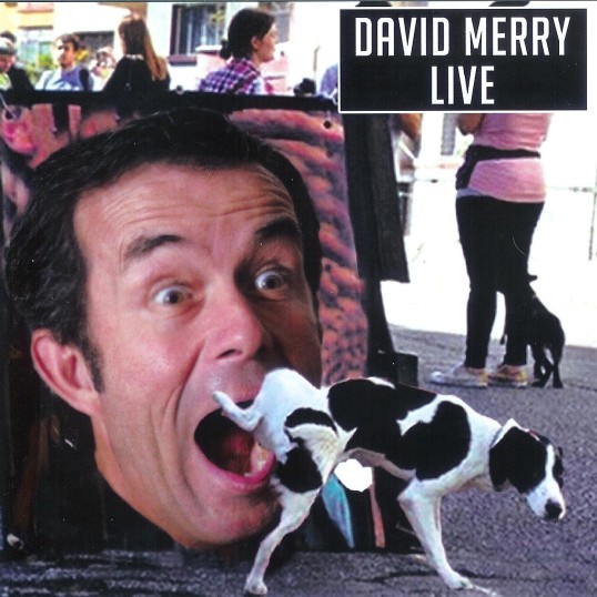 DVD cover David Merry Live 001